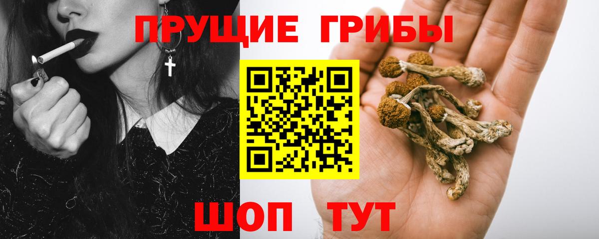 Галлюциногенные грибы Magic Shrooms Кировск