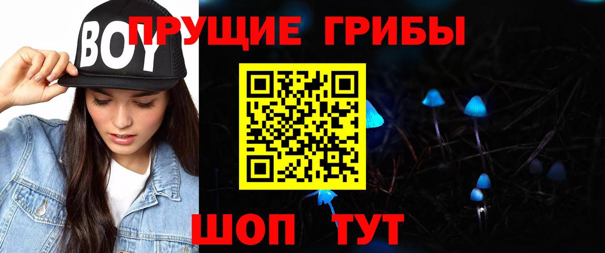 Псилоцибиновые грибы Psilocybe  Галлюциногенные грибы мухоморы  Кировск  Вход с VPN 